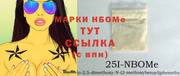 индика Кукмор