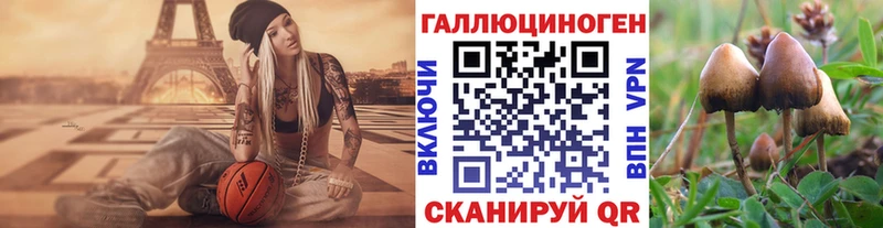 купить  сайты  Кропоткин  Галлюциногенные грибы Psilocybe 