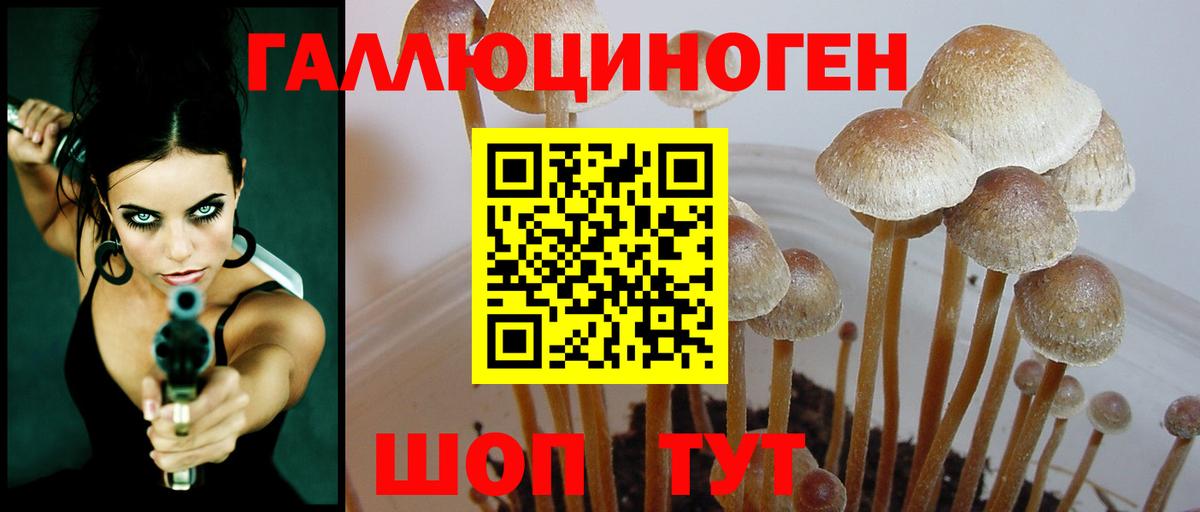 Псилоцибиновые грибы прущие грибы  Галлюциногенные грибы Cubensis  Вход с VPN  Кропоткин 