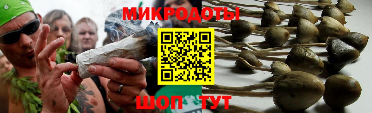 Псилоцибиновые грибы мицелий Кропоткин